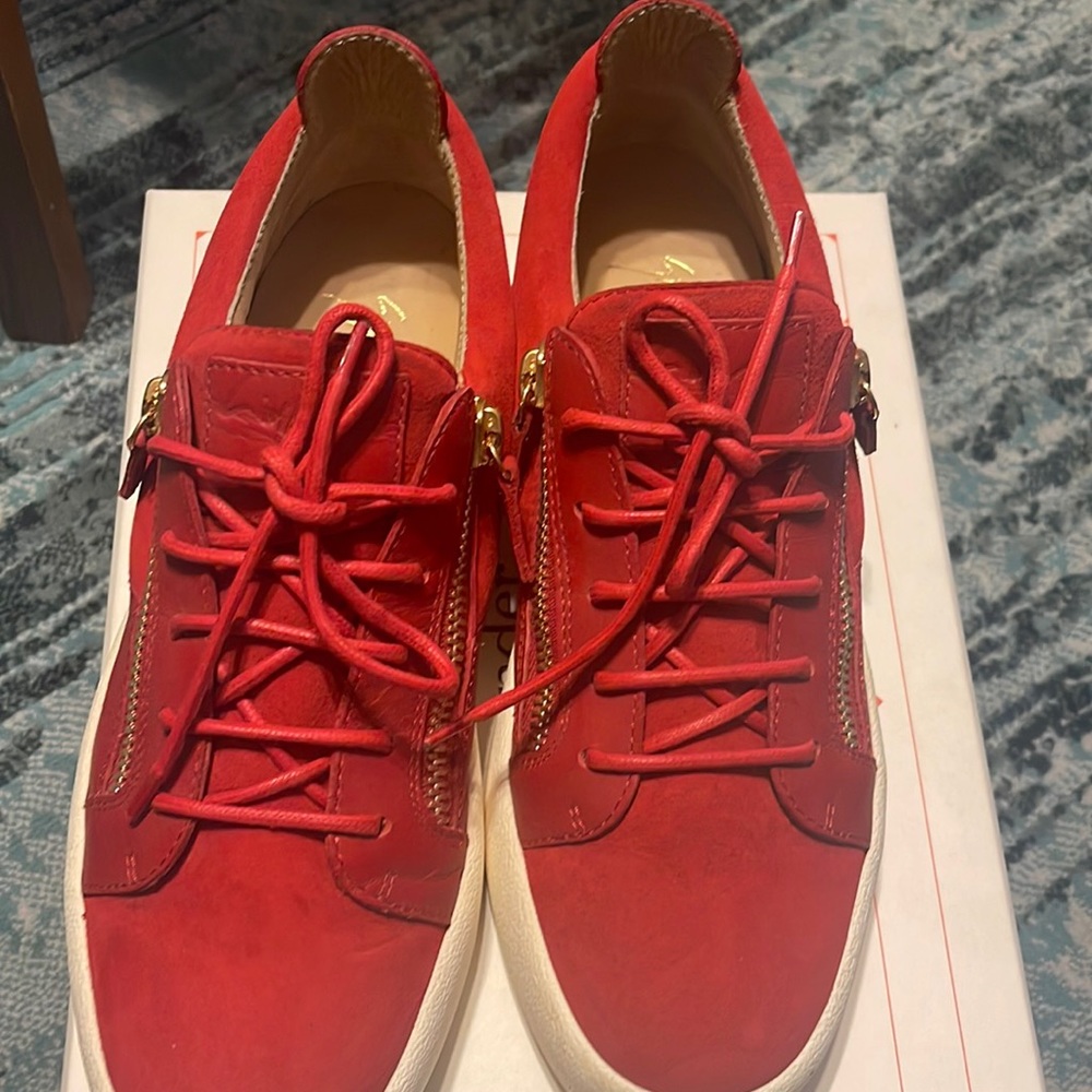 Giuseppe Zanotti